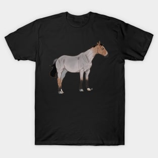 Roan Horse T-Shirt